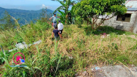 Land for sale in Tadiangan, Benguet