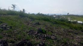 Land for sale in Santa Cruz, Cebu