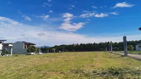 Land for sale in Don Jose, Laguna