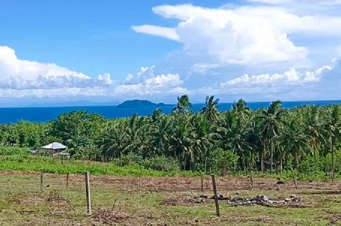 Land for sale in Tunga-Tunga, Negros Oriental
