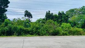 Land for sale in Bingag, Bohol