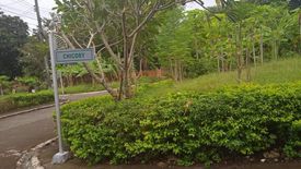 Land for sale in Jubay, Cebu