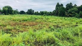 Land for sale in San Klang, Chiang Mai