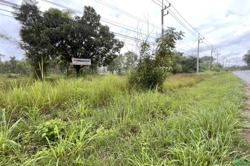 Land for sale in Mueang Chi, Lamphun