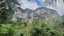 Land for rent in Khao Thong, Krabi