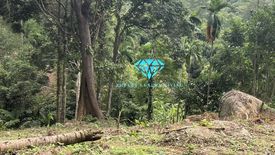 Land for sale in Kathu, Phuket