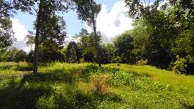 Land for sale in Batang Kali, Selangor