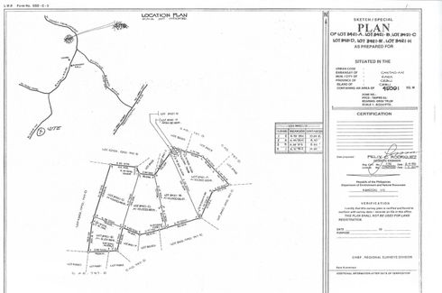Land for sale in Cantao-An, Cebu