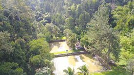 Land for sale in Kampung Janda Baik, Pahang