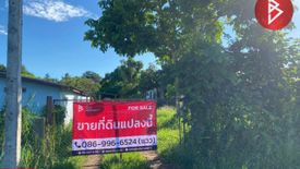 Land for sale in Chonnabot, Khon Kaen