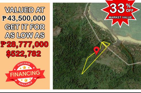 Land for Sale or Rent in Kemdeng, Palawan