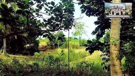 Land for sale in Angilan, Cebu