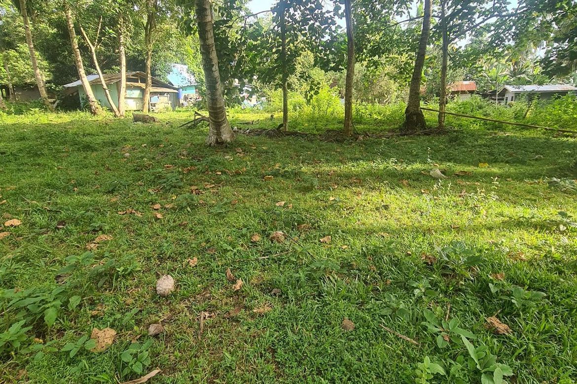 Lot for Sale in Sto. Niño Babak Samal Davao Del Norte 📌 Land for sale