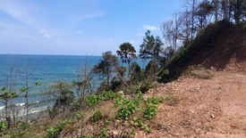 Land for sale in Na Cha-ang, Chumphon