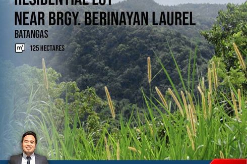 Land for sale in Berinayan, Batangas