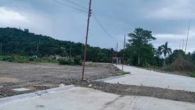 Land for sale in La Paz, Cebu