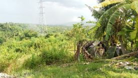 Land for sale in Poblacion III, Cebu