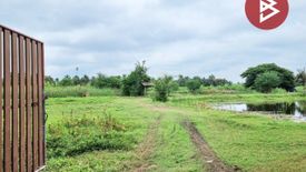 Land for sale in Tha Raeng, Phetchaburi