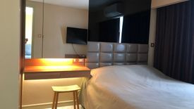 1 Bedroom Condo for rent in Tidy Deluxe Sukhumvit 34, Khlong Tan, Bangkok near BTS Thong Lo