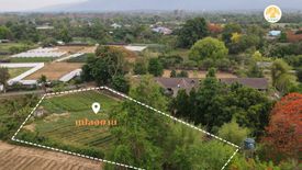 Land for sale in Mueang Kaeo, Chiang Mai