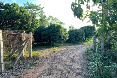 Land for sale in Rom Yen, Phayao
