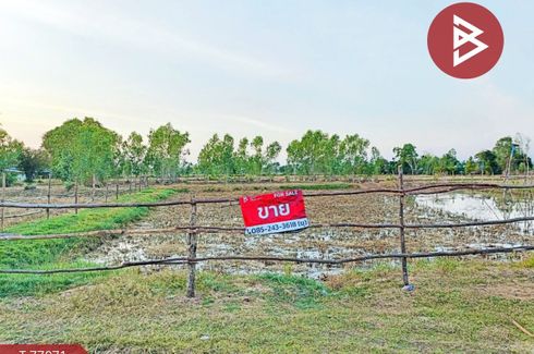 Land for sale in Mueang Thi, Surin