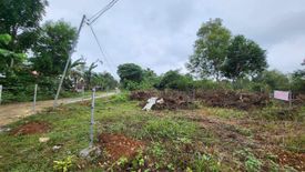 Land for sale in Bingag, Bohol