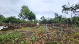 Land for sale in Bingag, Bohol