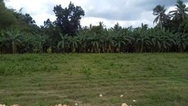 Land for sale in Polog, Cebu