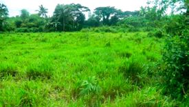 Land for sale in Real, Laguna