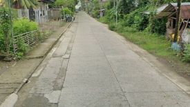 Land for sale in Barangay Zone II, Iloilo