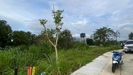 Commercial for sale in Maunong, Laguna