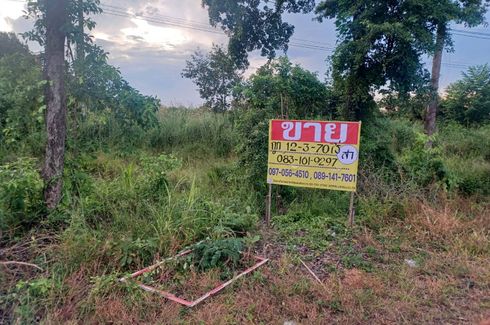 Land for sale in Wat Bot, Phitsanulok