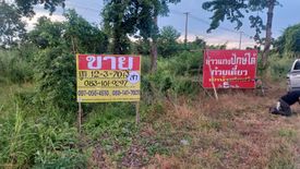 Land for sale in Wat Bot, Phitsanulok