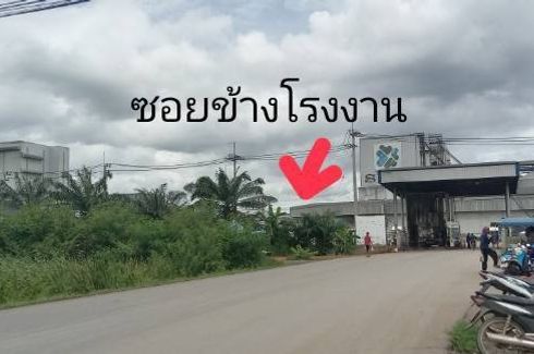 Land for sale in Don Sai, Ratchaburi