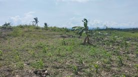 Land for sale in Butong, Cebu