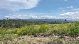 Land for sale in Butong, Cebu