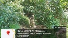 Land for sale in Guadalupe, Palawan