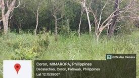 Land for sale in Guadalupe, Palawan