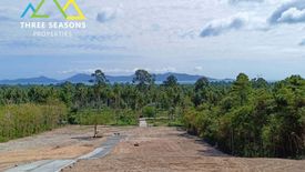 Land for sale in Bo Phut, Surat Thani