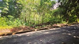 Land for sale in Town and Country Estates, Mambugan, Rizal