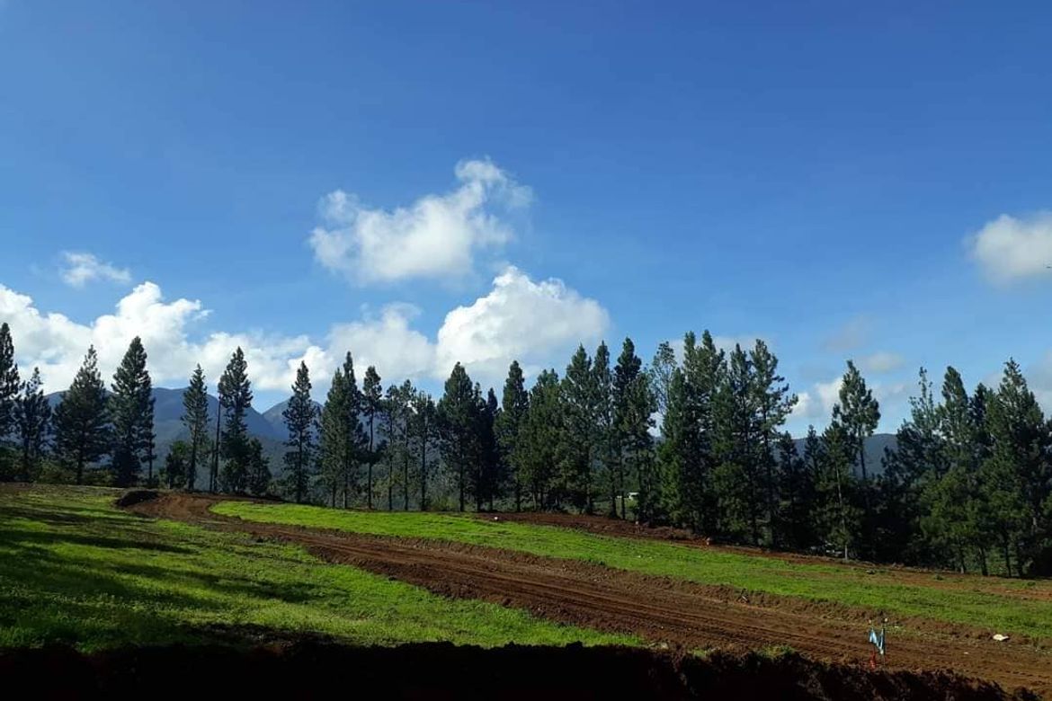 MOUNTAIN PINES FARM Dahilayan, Manolo Fortich, Bukidnon 📌 Land for sale in Bukidnon Dot Property