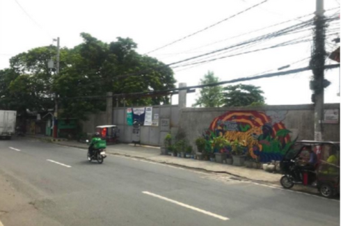 Land for sale in Pinagsama, Metro Manila