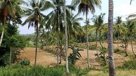 Land for sale in Kalubihan, Cebu