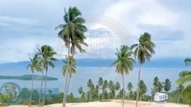 Land for sale in Tagpopongan, Davao del Norte