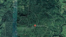 Land for sale in Maugat, Batangas