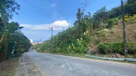 Land for sale in Karon, Phuket