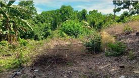 Land for sale in Biking, Bohol