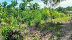 Land for sale in Biking, Bohol