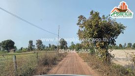 Land for sale in Nong Daeng, Maha Sarakham